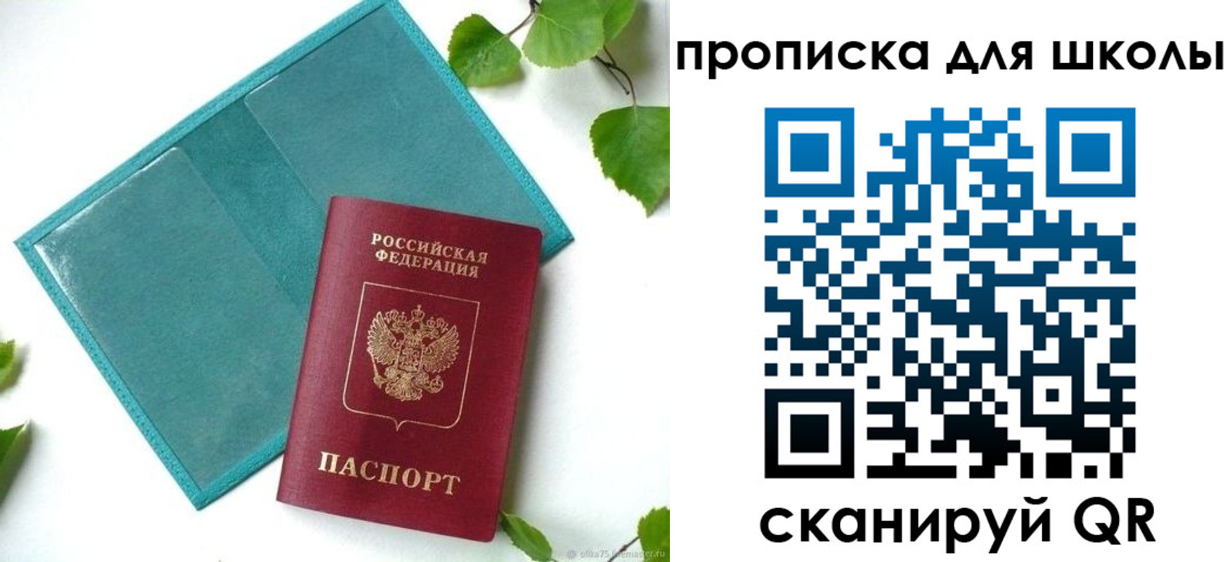 прописка в Нелидово